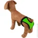 Lucky Pet    S 33-36  