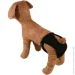Lucky Pet    XS 31-33  