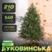     2,1   LUGI TD-BUKGR21