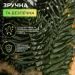     2   LUGI KOS-HVO12