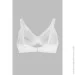 Lulola    088 70C  (2000990666796)