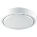 Luminaria  - 12   5500  DLR 12W