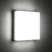 Luminaria  - 15   5000 