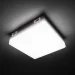Luminaria  - 15   5000 