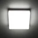 Luminaria  - 15   5000 