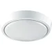 Luminaria  - 15   5500  DLR 15W