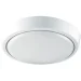 Luminaria  - 25   5500  DLR 25W