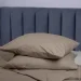 Luna    Mono 2.0 