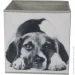 Luna Home   CN240410-1  Dog 280x270x270 