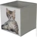 Luna Home   CN240410-2  Cat 280x270x270 