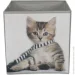 Luna Home   CN240410-2  Cat 280x270x270 