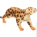  Luna Kids    2035    JQ-006B