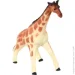  Luna Kids    2035    JQ-006B