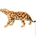  Luna Kids    2035    JQ-006B