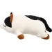  Luna Kids      54  (DT201274)