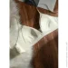 Ƴ       Comfort Day (1961-85-02)  XL