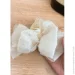 Ƴ    Elegant Bow (1624-01)  -