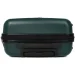  Madisson   33703  55  - (Mp00143)