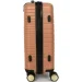  Madisson   33703  55  - (Mp00152)