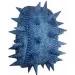   Madpax Skins Full Dolphinious (M/SKI/DOL/FULL)
