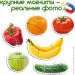 Magdum   Baby puzzle "  " ML4031-25 EN