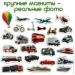 Magdum   "" ML4031-17 EN