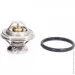  Mahle TX2975D