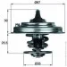  Mahle TX3080D
