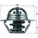  Mahle TX 100 89D (TX10089D)