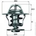  Mahle TX 13 87D (TX1387D)