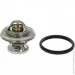  Mahle TX 29 85D (TX2985D)