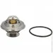  Mahle TX 30 87D (TX3087D)