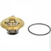  Mahle TX 36 85D (TX3685D)