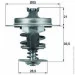  Mahle TX 67 83D (TX6783D)