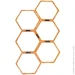  Master   Hexa (8592833006998)