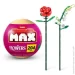 MAX    S1    ( .,  .) 83184GQ1
