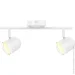 Maxus  Spot Light MSL-01C 2x4  