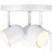 Maxus  Spot Light MSL-01R 3x4  