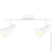 Maxus  Spot Light MSL-02C 2x4  