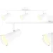 Maxus  Spot Light MSL-02C 3x4  
