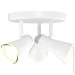Maxus  Spot Light MSL-02R 3x4  