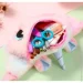 - Maya Toys   25    MY375568