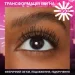 Maybelline Maybel Lash Sens   /'    - 10  (30189218)