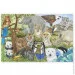  Melissa & Doug    (MD4437)