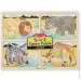 Melissa & Doug '   , 4  1 "" Melissa&Doug (MD9366)