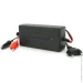   Merlion YTCH12200 12V(5-20Ah),   12V/2000mA,