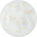 Mermade  Champagne 29 