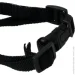  Merx Limited   251232  MX0268573  
