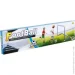 Merx Limited     72.53.417.8  MX0375221