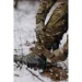 M-Gear    Ukraine (50/4) . M multicam